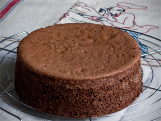Sponge Cake Genoise Chocolat