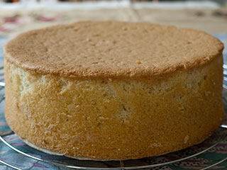 Sponge Cake Genoise