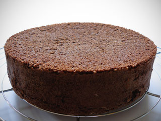 Sponge Cake Viennoise Chocolat