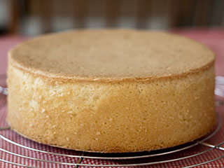 Sponge Cake Viennoise