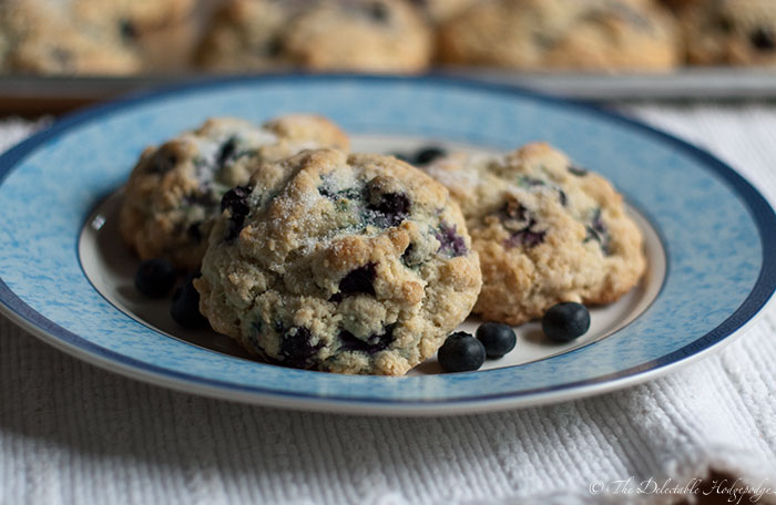 Blueberry Scones