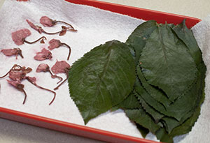 Preserved sakura leaves and blossoms
