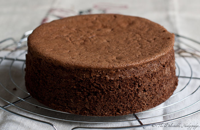 Sponge Cake Genoise Chocolat